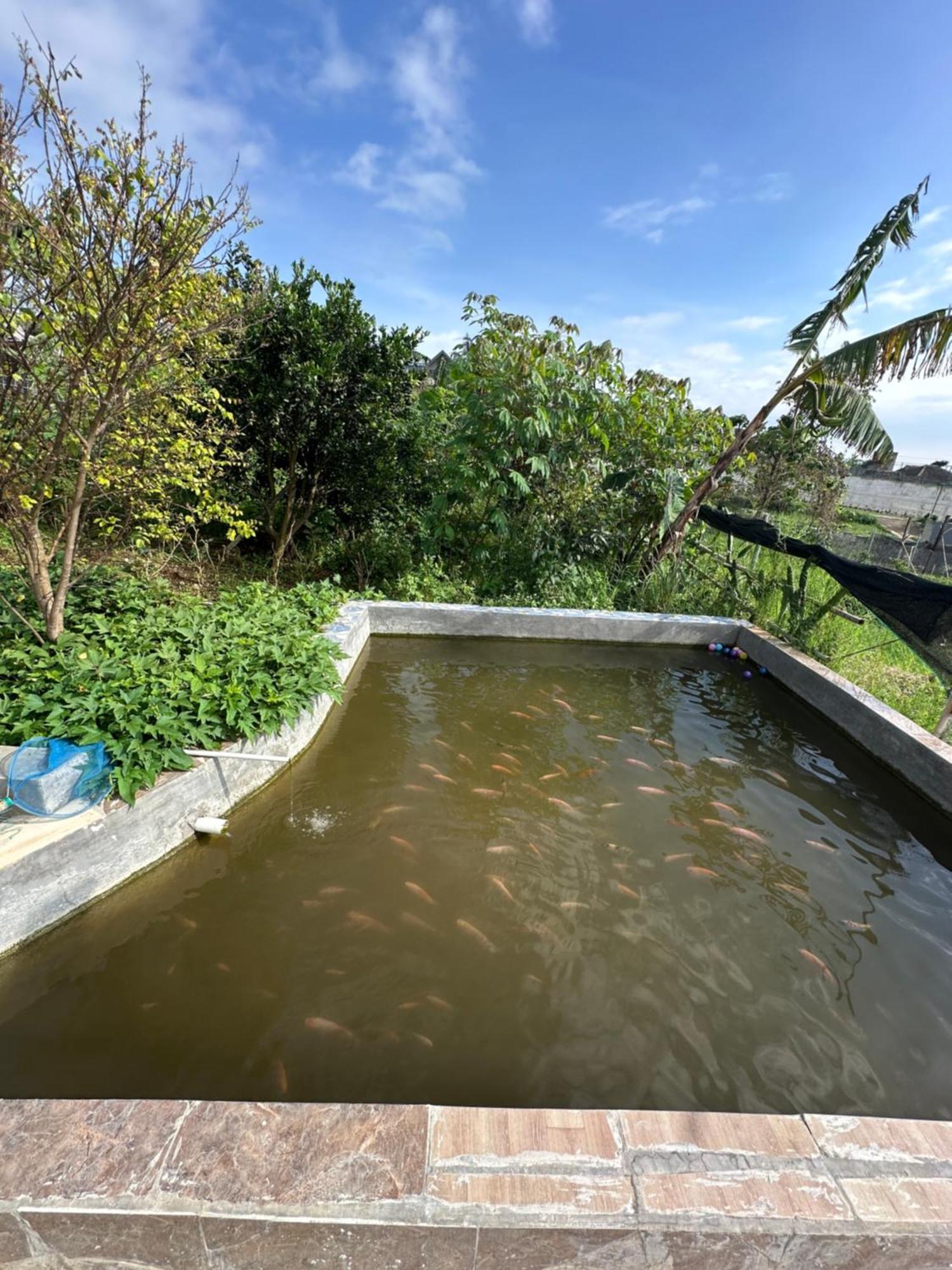 Jason Farm Villa Pacet  Bagian luar foto